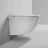 Унитаз подвесной Bond F05-10 безободковый, с микролифтом фото в интернет-магазине «Wasser-Haus.ru»