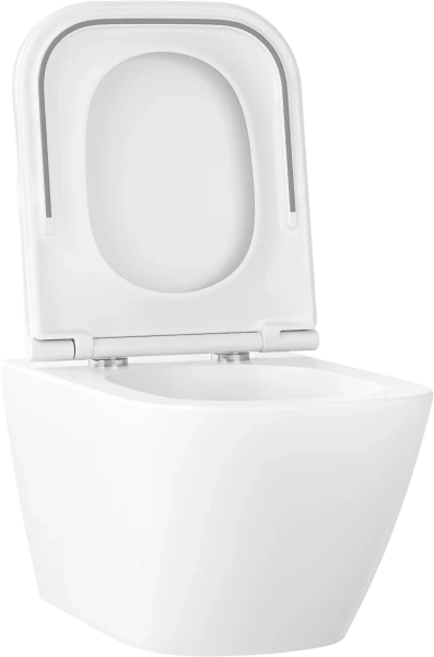 Унитаз подвесной Wellsee Pure BY Wellsee 182602001 безободковый, с микролифтом, глянцевый белый фото в интернет-магазине «Wasser-Haus.ru»
