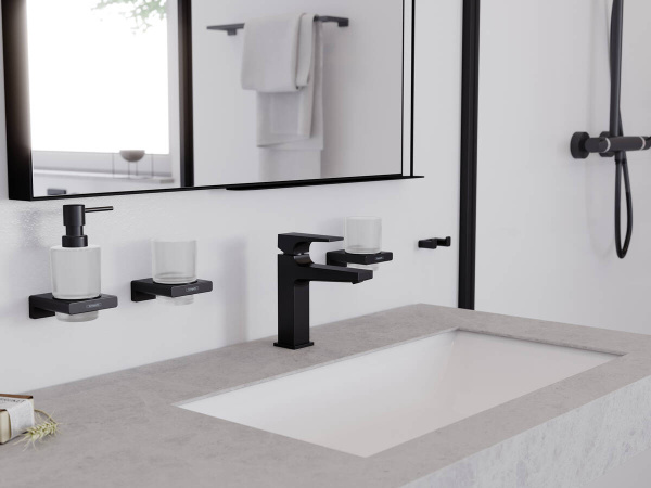 Крючок Hansgrohe AddStoris 41755670 двойной, матовый черный фото в интернет-магазине «Wasser-Haus.ru»