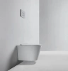 Унитаз подвесной Bond F03-10 безободковый, с микролифтом фото в интернет-магазине «Wasser-Haus.ru»