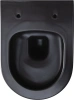 Унитаз подвесной Allen Brau Priority 4.31002.31 безободковый, с микролифтом, черный фото в интернет-магазине «Wasser-Haus.ru»