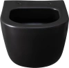 Унитаз подвесной Allen Brau Priority 4.31002.31 безободковый, с микролифтом, черный фото в интернет-магазине «Wasser-Haus.ru»