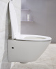 Чаша для унитаза подвесного BelBagno Alpha BB300CHR безободковая фото в интернет-магазине «Wasser-Haus.ru»