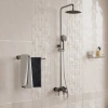 Душевая стойка Wasserkraft A14201 никель фото в интернет-магазине «Wasser-Haus.ru»