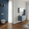 Унитаз подвесной Serel Nita NT10SL с микролифтом фото в интернет-магазине «Wasser-Haus.ru»