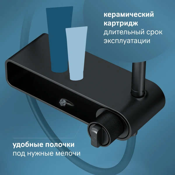 Душевая стойка AM.PM X-Joy F0785A622 черный матовый фото в интернет-магазине «Wasser-Haus.ru»