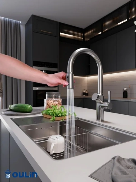 Смеситель для кухни Oulin OL-8018 Satin фото в интернет-магазине «Wasser-Haus.ru»
