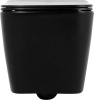 Чаша для унитаза подвесного BelBagno Ardente-C BB3202CHR-MB матовая черная фото в интернет-магазине «Wasser-Haus.ru»