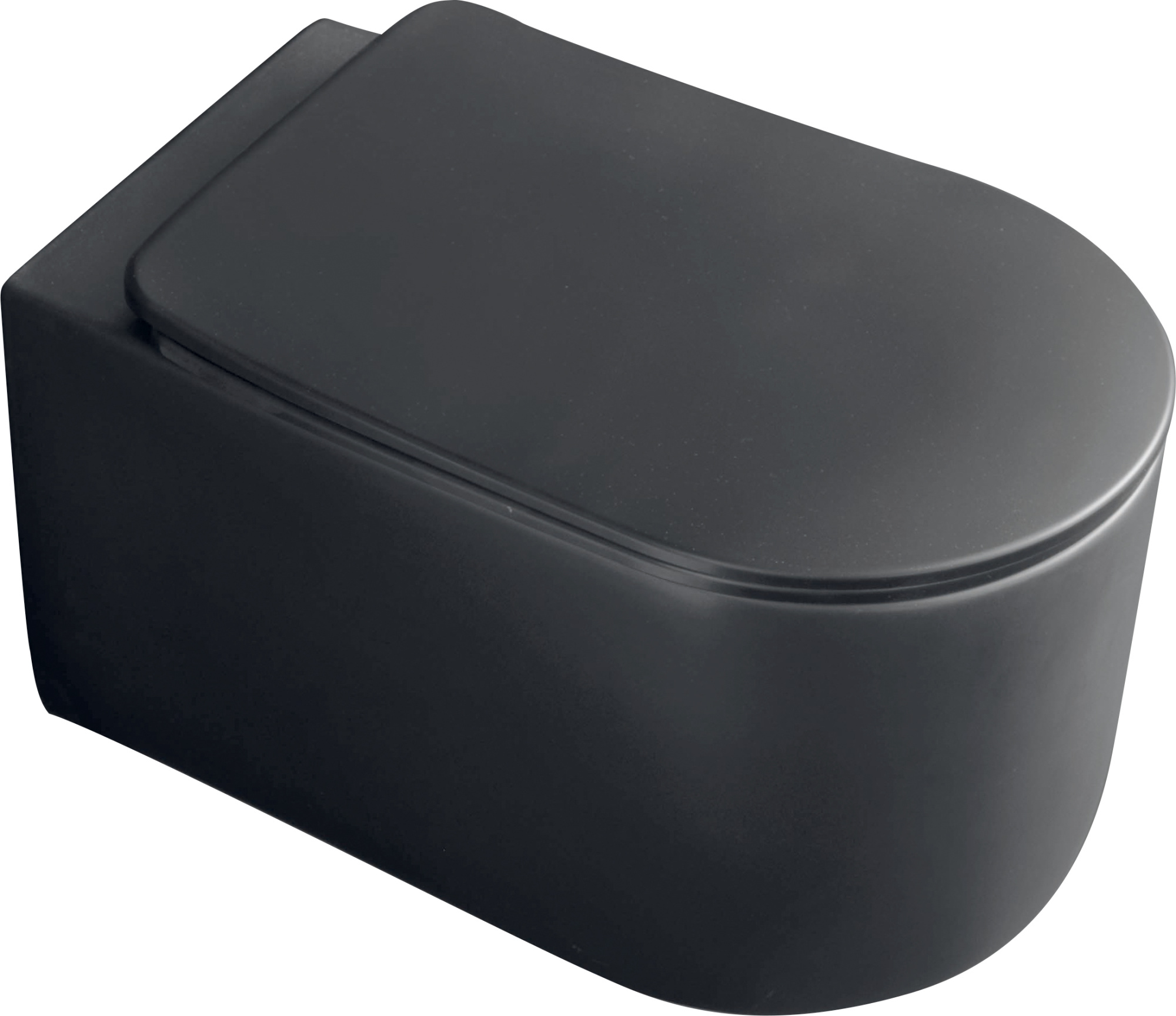 Крышка-сиденье Kerasan Nolita 5391 черная матовая, с микролифтом фото в интернет-магазине «Wasser-Haus.ru»