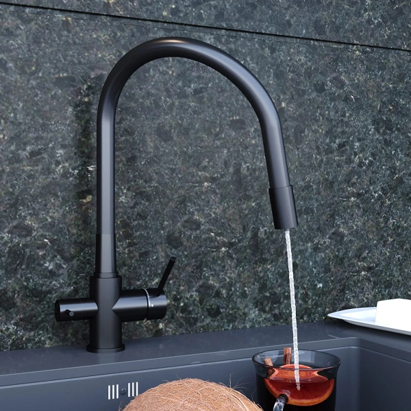 Смеситель для кухни Elghansa Kitchen Pure Water 56F5216-Black black фото в интернет-магазине «Wasser-Haus.ru»