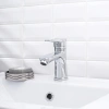 Смеситель для раковины РМС SL141 001F фото в интернет-магазине «Wasser-Haus.ru»