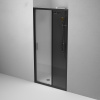 Душевая дверь в нишу AM.PM Gem Solo W90G-100-1-195BG 100 см фото в интернет-магазине «Wasser-Haus.ru»