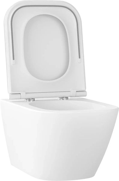 Унитаз подвесной Wellsee Pure BY Wellsee 182603001 безободковый, с микролифтом, матовый белый фото в интернет-магазине «Wasser-Haus.ru»