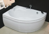 Акриловая ванна Royal Bath Alpine RB 819102 170x100 L, с ножками фото в интернет-магазине «Wasser-Haus.ru»