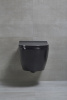 Унитаз подвесной beWash Bogen 88303606 с сиденьем микролифт, с функцией биде, черный фото в интернет-магазине «Wasser-Haus.ru»