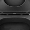Унитаз подвесной Damixa Sirius DX86C1700MBSC с микролифтом, черный матовый фото в интернет-магазине «Wasser-Haus.ru»