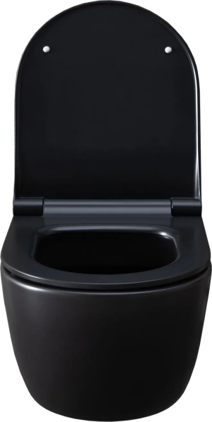 Унитаз подвесной Allen Brau Priority 4.31001.31 безободковый, с микролифтом, черный фото в интернет-магазине «Wasser-Haus.ru»