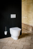 Ершик Laufen The New Classic 8.7385.2.000.000.1 фото в интернет-магазине «Wasser-Haus.ru»