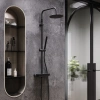 Душевая стойка Damixa Scandinavian Pure 936750300 чернная матовая фото в интернет-магазине «Wasser-Haus.ru»