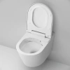 Унитаз подвесной AM.PM Inspire CCC501700SC безободковый с биде фото в интернет-магазине «Wasser-Haus.ru»