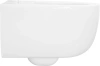 Унитаз подвесной Allen Brau Priority 4.31002.20 безободковый, с микролифтом, белый фото в интернет-магазине «Wasser-Haus.ru»