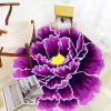 Коврик Carnation Home Fashions Peony Flower Violet 60 см фото в интернет-магазине «Wasser-Haus.ru»