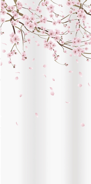 Штора для ванной Bacchetta Sakura 180x200 фото в интернет-магазине «Wasser-Haus.ru»