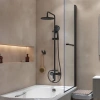 Душевая стойка IDDIS Ray RAYBL3Fi06 черный фото в интернет-магазине «Wasser-Haus.ru»