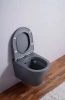 Унитаз подвесной Esbano Clavel ESUPCLAVGM серый матовый фото в интернет-магазине «Wasser-Haus.ru»