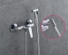 Гигиенический душ Potato P260 P20260 фото в интернет-магазине «Wasser-Haus.ru»