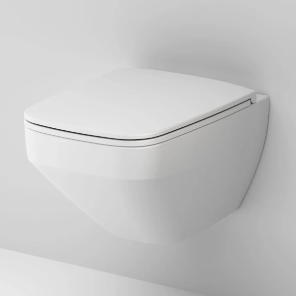 Унитаз подвесной AM.PM Inspire V2.0 FlashClean с микролифтом, белый матовый фото в интернет-магазине «Wasser-Haus.ru»