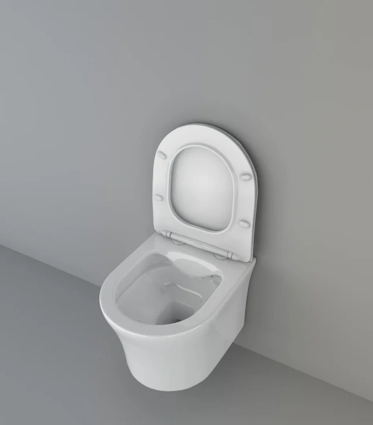 Унитаз подвесной Cerutti Spa Adige Aria 7837 безободковый, с микролифтом фото в интернет-магазине «Wasser-Haus.ru»