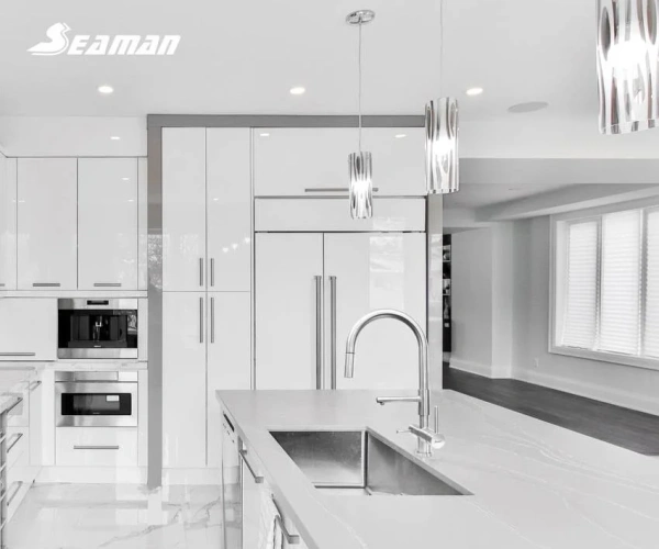 Смеситель для кухни Seaman Eco Venice SSN-1069 steel satin фото в интернет-магазине «Wasser-Haus.ru»