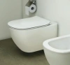 Унитаз подвесной Ideal Standard Tesi ST007901 с микролифтом фото в интернет-магазине «Wasser-Haus.ru»