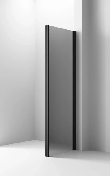 Душевой уголок Ambassador Intense 110022205IBB-90IBB 160х90 см, профиль черный фото в интернет-магазине «Wasser-Haus.ru»