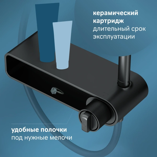 Душевая стойка AM.PM X-Joy F0785A722 черный матовый фото в интернет-магазине «Wasser-Haus.ru»