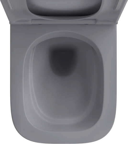 Унитаз подвесной Wellsee Pure BY Wellsee 182605001 безободковый, с микролифтом, матовый серый фото в интернет-магазине «Wasser-Haus.ru»