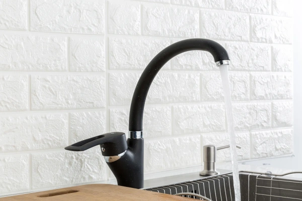 Смеситель для кухни Frap F4166-7 черный фото в интернет-магазине «Wasser-Haus.ru»