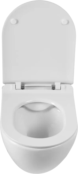 Унитаз подвесной BelBagno Amanda BB051CHR безободковый, крышка BB901SC с микролифтом фото в интернет-магазине «Wasser-Haus.ru»
