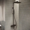 Душевая стойка Teska Mira DK2981 черный фото в интернет-магазине «Wasser-Haus.ru»