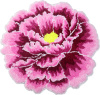 Коврик Carnation Home Fashions Peony Flower Pink 60 см фото в интернет-магазине «Wasser-Haus.ru»