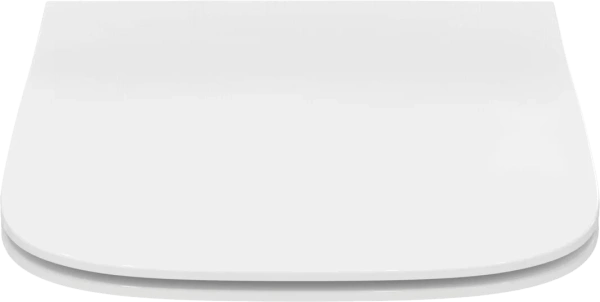 Комплект Унитаз подвесной Ideal Standard I Life B T461401 безободковая, euro white + Крышка T500301 с микролифтом + Инсталляция Geberit Duofix Delta 458.149.21.1 с кнопкой смыва, хром + Шумоизоляция фото в интернет-магазине «Wasser-Haus.ru»