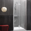 Душевая дверь в нишу Kolpa San Terra flat TV/S-D 100 правая фото в интернет-магазине «Wasser-Haus.ru»