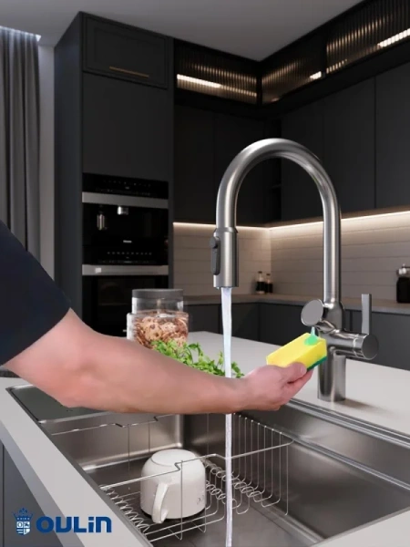 Смеситель для кухни Oulin OL-8018 Satin фото в интернет-магазине «Wasser-Haus.ru»
