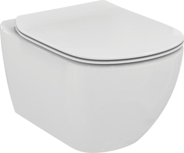 Крышка-сиденье Ideal Standard Tesi T352701 с микролифтом, петли хром фото в интернет-магазине «Wasser-Haus.ru»