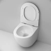 Унитаз подвесной AM.PM Like C801900SC AquaSpin с микролифтом фото в интернет-магазине «Wasser-Haus.ru»