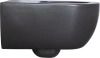 Унитаз подвесной Allen Brau Priority 4.31001.31 безободковый, с микролифтом, черный фото в интернет-магазине «Wasser-Haus.ru»