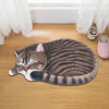 Коврик Carnation Home Fashions 3D Cat Beige 76 см фото в интернет-магазине «Wasser-Haus.ru»