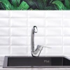 Смеситель для кухни BOOU B8282-10F хром фото в интернет-магазине «Wasser-Haus.ru»