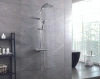 Душевая стойка Wirquin 60721388 фото в интернет-магазине «Wasser-Haus.ru»